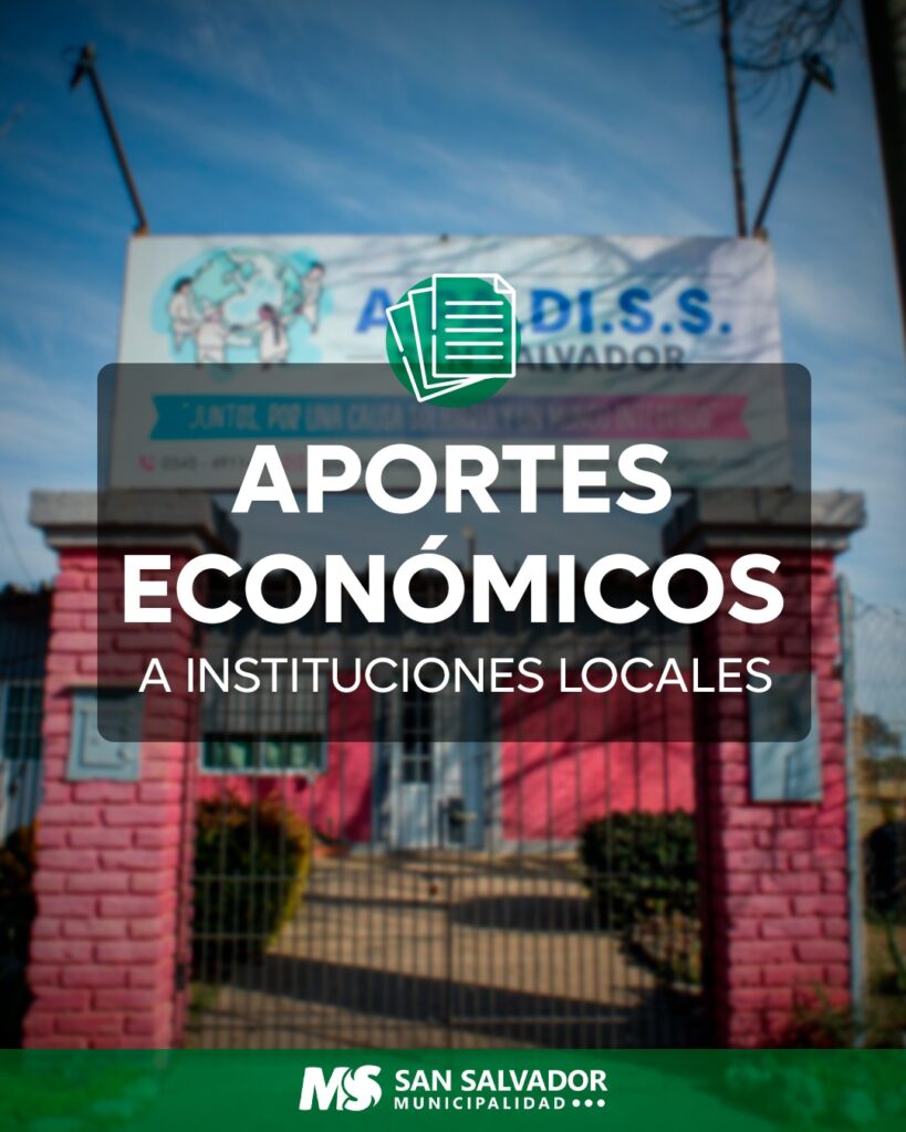 aportes a instituciones (2)