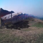 Trágico incendio en un establecimiento rural de Lucas Sud Primera: murieron 500 cerdos