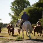 General Campos y otras localidades entrerrianas  se integran a la plataforma STAR de ONU Turismo