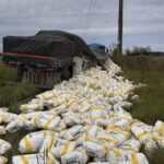 Siniestro vial en la Ex Ruta 18: Un camión cargado con harina despistó a la altura del kilómetro 197