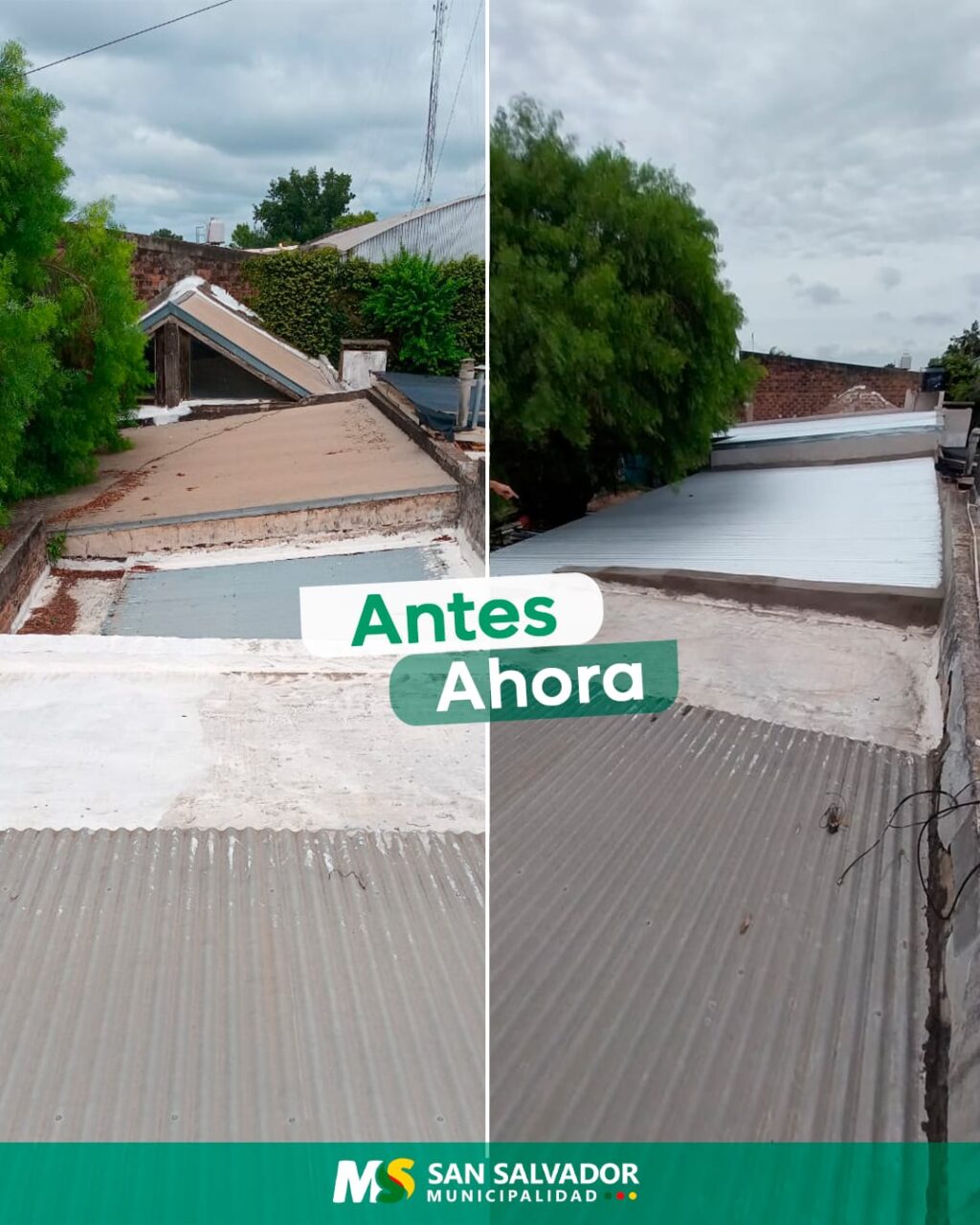 techo jardin marzoratti