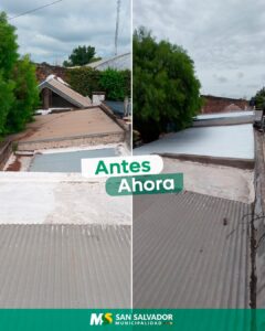 techo jardin marzoratti