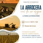 El Museo del Arroz recibe la muestra “La Arrocera” de María Luz Magallanes