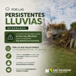 Aviso importante: piden evitar la poda y no sacar residuos verdes por las condiciones climáticas