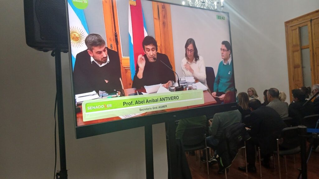 Antivero expone ante Senadores