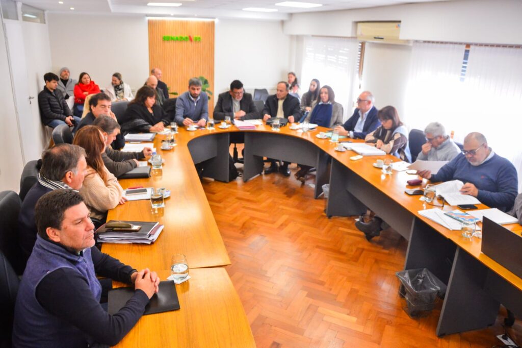 senado 07_07