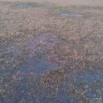 El temporal golpea al fútbol: tres ligas de la región suspendieron sus actividades por las condiciones climáticas