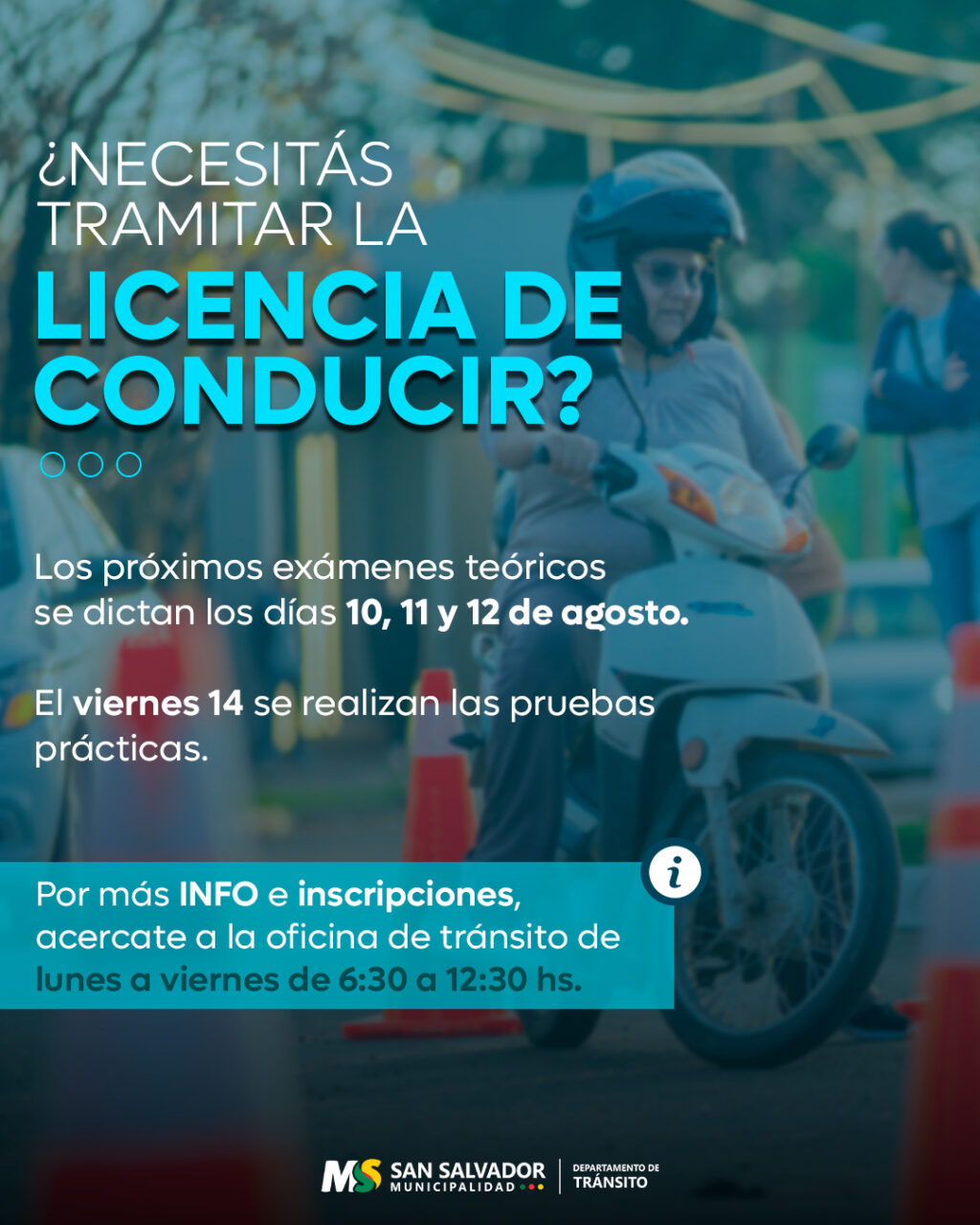 licencia de conducir (2)