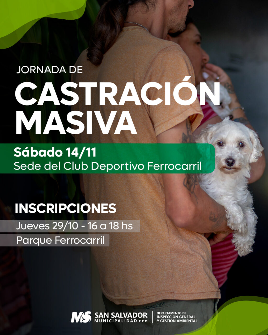 Castracion masiva