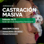 Promueven la tenencia responsable: anunciaron una nueva jornada de castración masiva de perros y gatos en el Club Ferro