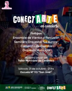 Conectarte en Concierto