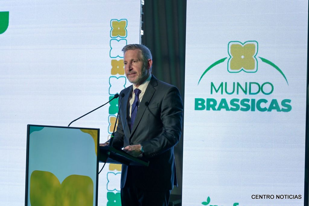 Rogelio Frigerio Brassicas