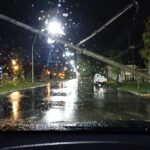El temporal provocó destrozos en la vía pública: Tras tareas de despeje, reabrieron el tránsito en Avenida Colón