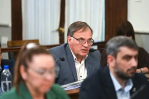 marcelo berthet